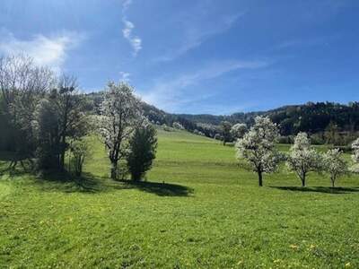Grundstück kaufen in 3263 Perwarth