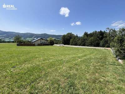 Grundstück kaufen in 4893 Zell
