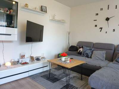 Altbauwohnung kaufen in 5310 Mondsee (Bild 5)