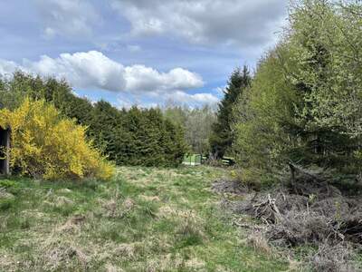 Grundstück kaufen in 4202 Kirchschlag