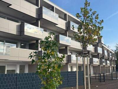 Wohnung kaufen in 4060 Leonding