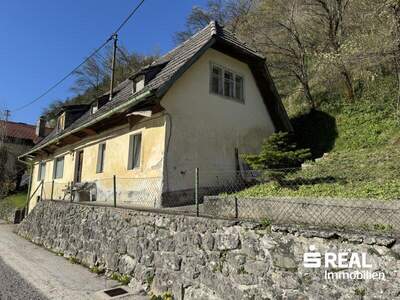 Haus kaufen in 4460 Losenstein (Bild 1)