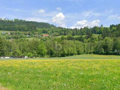 Grundstück kaufen in 9562 Himmelberg