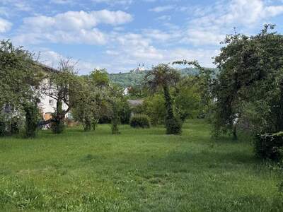 Grundstück kaufen in 3375 Krummnußbaum