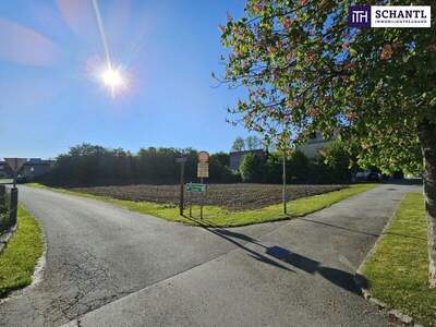 Grundstück kaufen in 8510 Stainz (Bild 4)