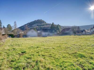 Grundstück kaufen in 2534 Alland