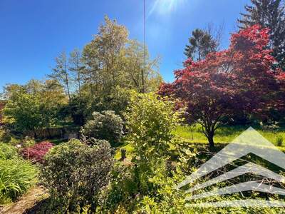 Gewerbliche Freizeitimmobilie kaufen in 4060 Leonding