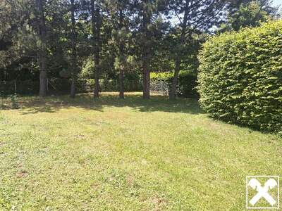 Haus kaufen in 2721 Bad Fischau (Bild 4)