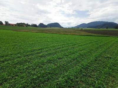 Haus kaufen in 9371 Brückl (Bild 3)