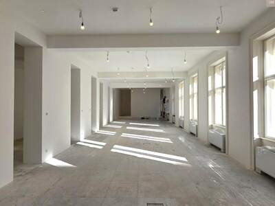 Gewerbeobjekt mieten in 1010 Wien (Bild 5)