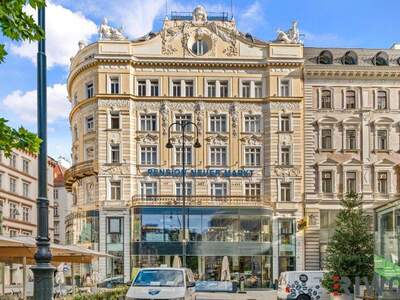 Wohnung mieten in 1010 Wien (Bild 3)