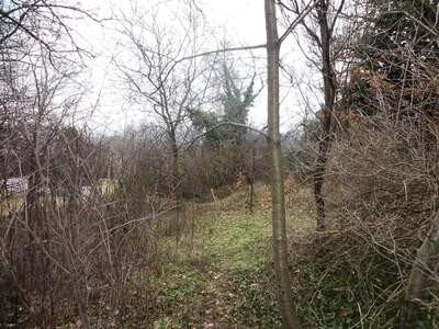 Grundstück kaufen in 7051 Großhöflein