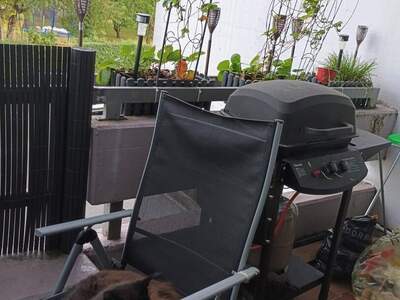 Wohnung provisionsfrei mieten in 6850 Dornbirn