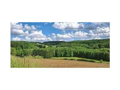 Gewerbeobjekt kaufen