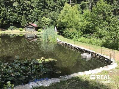 Grundstück kaufen in 4040 Lichtenberg