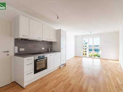 Anlageobjekt kaufen in 1220 Wien