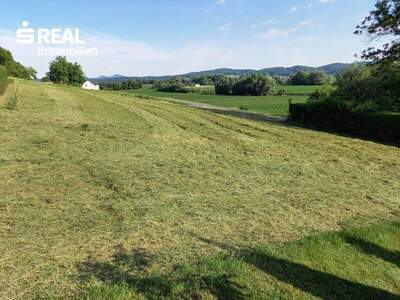 Grundstück kaufen in 8332 Edelsbach (Bild 1)