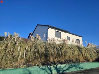 Haus kaufen in 8074 Raaba