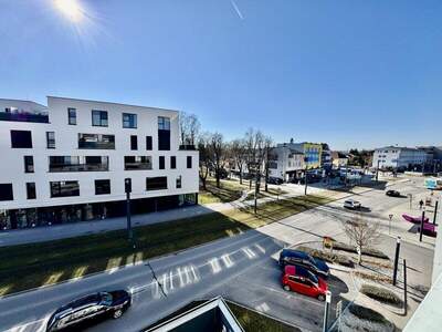 Terrassenwohnung kaufen in 4050 Traun (Bild 5)