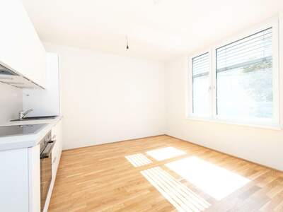 Wohnung mit Balkon mieten in 8020 Graz (Bild 3)