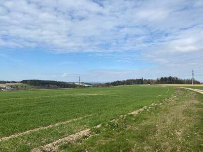 Gewerbegrundstück kaufen in 4753 Taiskirchen