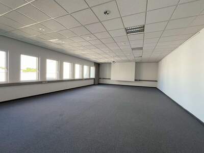 Gewerbeobjekt mieten in 1230 Wien (Bild 5)