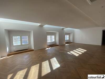 Gewerbeobjekt mieten in 1010 Wien (Bild 4)
