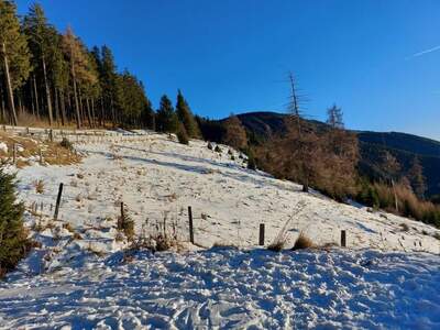 Grundstück kaufen in 9400 Wolfsberg