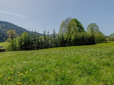 Grundstück kaufen in 6353 Going (Bild 4)