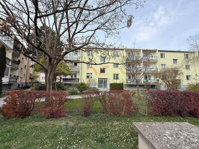 Wohnung kaufen in 2351 Wiener Neudorf