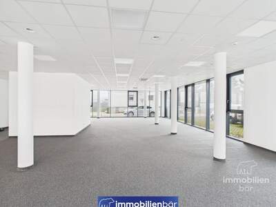 Gewerbeobjekt mieten in 4061 Pasching (Bild 4)