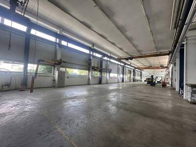 Gewerbeobjekt mieten in 2362 Biedermannsdorf