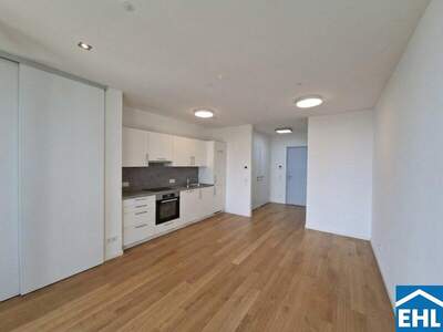 Terrassenwohnung mieten in 1100 Wien (Bild 2)