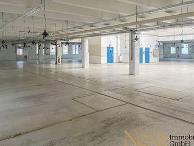 Lager mieten in 4052 Ansfelden (Bild 4)