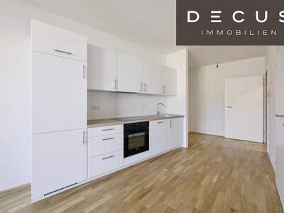 Terrassenwohnung mieten in 2345 Brunn (Bild 5)