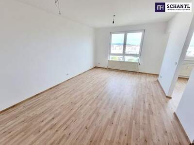 Wohnung kaufen in 1100 Wien