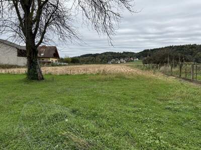 Haus mit Garten kaufen in 8072 Fernitz (Bild 5)