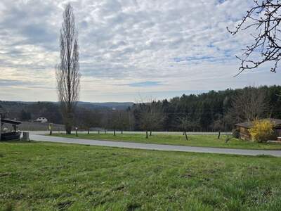 Grundstück kaufen in 8224 Hofkirchen (Bild 1)