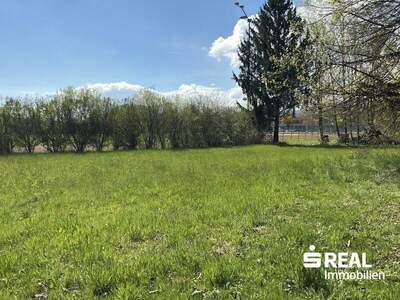 Grundstück kaufen in 6890 Lustenau (Bild 4)