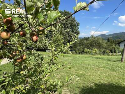 Haus kaufen in 8454 Arnfels (Bild 3)