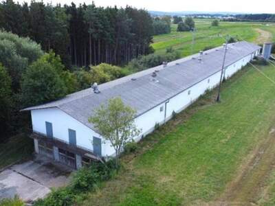 Gewerbeobjekt kaufen in 7552 Stinatz