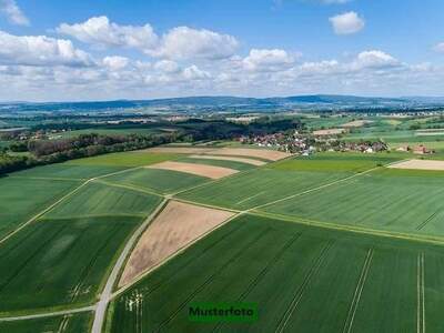 Gewerbeobjekt kaufen in 2620 Wartmannstetten