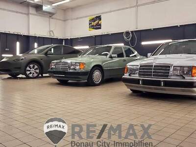 Gewerbeobjekt mieten in 2201 Hagenbrunn (Bild 5)