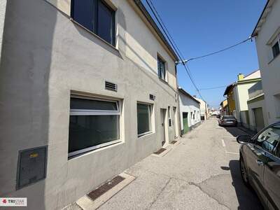 Anlageobjekt kaufen in 2620 Neunkirchen