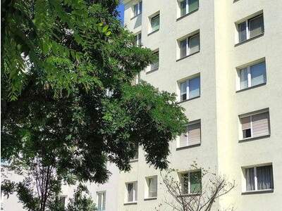 Wohnung mieten in 1200 Wien (Bild 2)