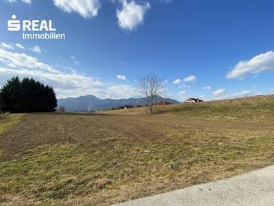 Grundstück kaufen in 8670 Krieglach (Bild 1)