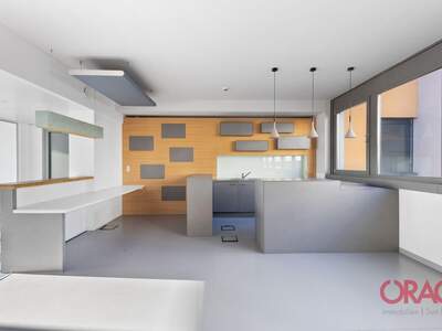 Gewerbeobjekt mieten in 1030 Wien (Bild 4)