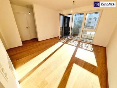 Wohnung kaufen in 1230 Wien