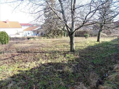 Grundstück kaufen in 2320 Schwechat