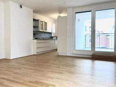 Apartment provisionsfrei mieten in 1230 Wien